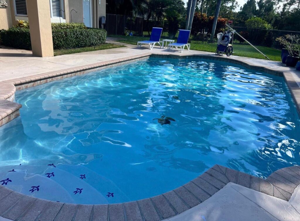 WhatsApp Image 2025-12-15 at 12.37.58 (1)