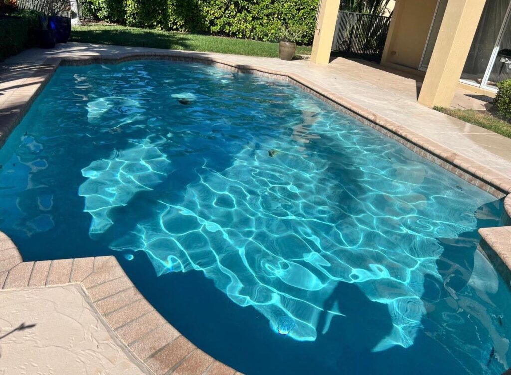 WhatsApp Image 2025-12-15 at 12.37.58