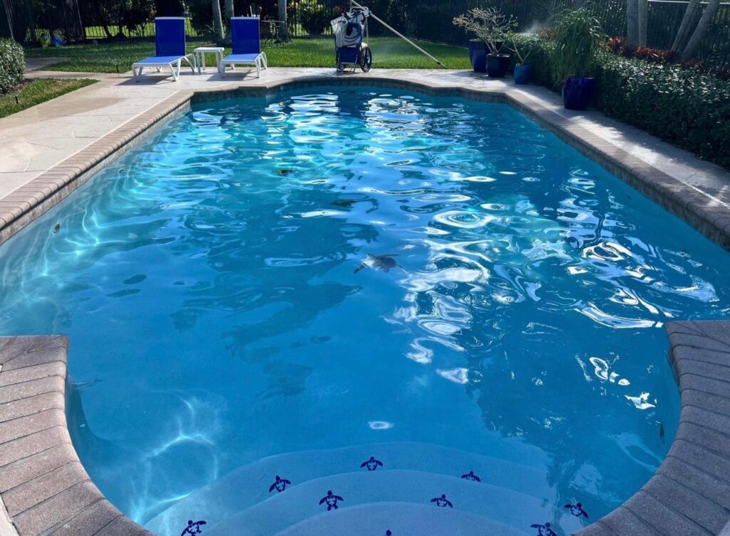 WhatsApp Image 2025-12-15 at 12.37.58 (2)